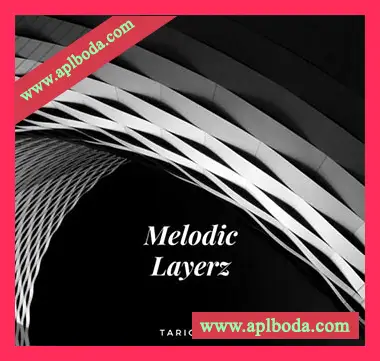 [嘻哈陷阱RnB采样]Tariq Ali Melodic Layerz [WAV]（241Mb）