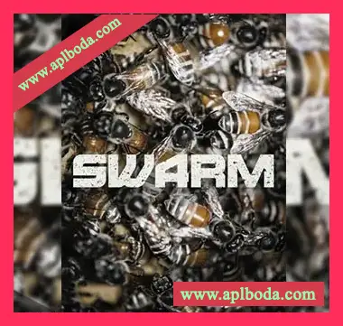 [喷火曼陀林音源]Spitfire Audio Mandolin Swarm [KONTAKT]（17.32Gb）