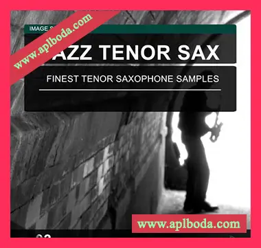 [爵士次中音萨克斯采样]Image Sounds Jazz Tenor Sax 03 [WAV]（9Mb）