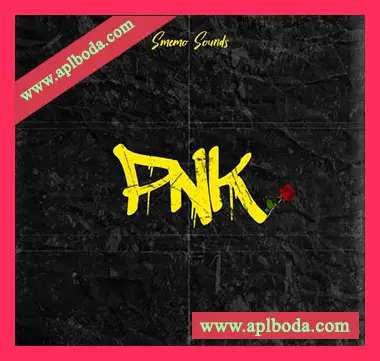 [灵魂嘻哈RnB采样]Smemo Sounds PNK [WAV]（55Mb）