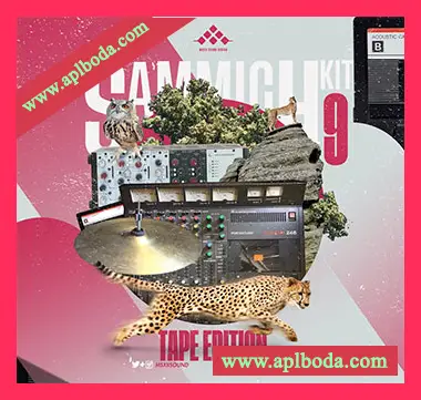 [嘻哈说唱采样]MSXII Sound Design Sammich Kit Vol.9 (Tape Edition) [WAV]（10Mb）