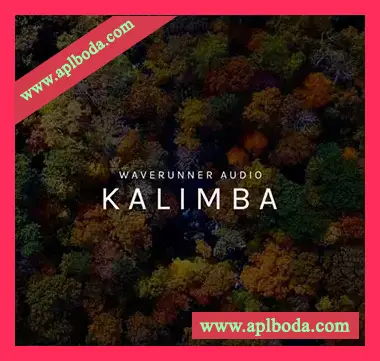 [卡林巴音源]Waverunner Audio Kalimba [KONTAKT]（658Mb）