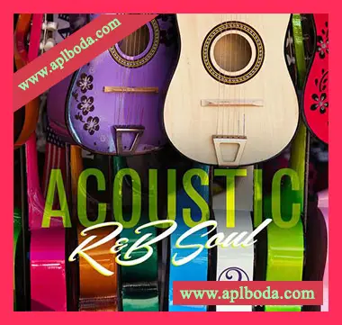 [灵魂RnB吉他采样]Big Citi Loops Acoustic R&B Soul 2 [WAV]（168Mb）