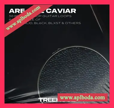 [嘻哈RnB采样]Treehouz Are and Be Caviar [WAV]（564Mb）