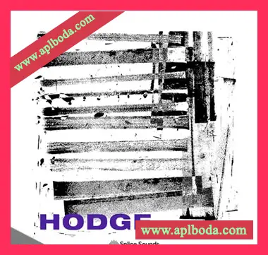 [科技浩室采样]Splice Sounds Hodge Sample Pack [WAV]（216Mb）