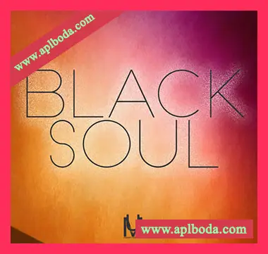 [灵魂RnB素材]Undisputed Music Black Soul [WAV, MiDi]（71Mb）