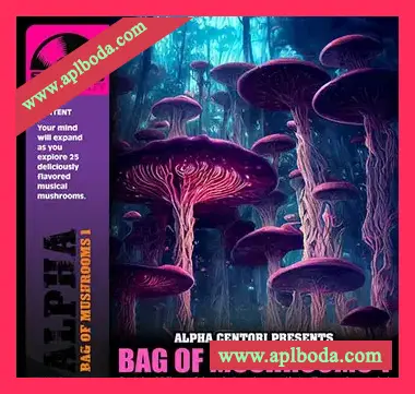 [亚洲民族采样]Boom Bap Labs Alpha Centori Bag Of Mushrooms 1 [WAV]（66Mb）