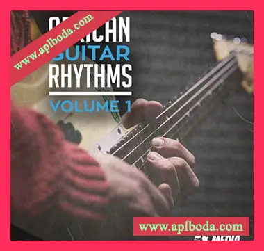 [非洲节奏吉他采样]New Beard Media African Guitar Rhythms Vol.1 [WAV]（44Mb）