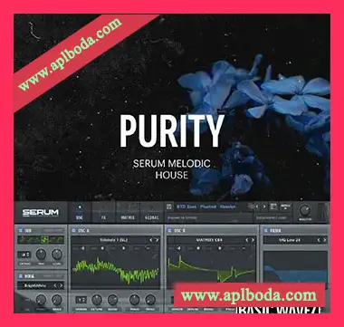 [Serum预置浩室泰克诺舞曲]Baisc Wavez Embers Purity Melodic House Presets（7Mb）