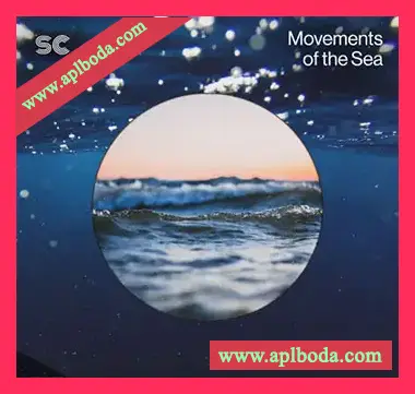 [氛围慢摇采样]Sonic Collective Movements of the Sea [WAV]（319Mb）