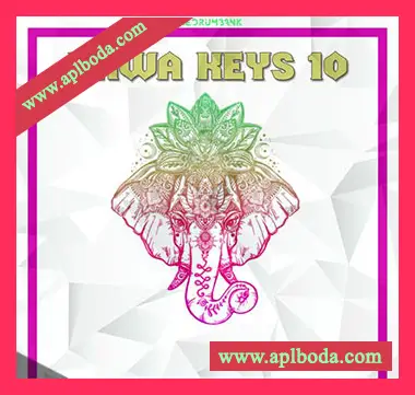 [民族乐器采样]Dynasty Loops Bawa Keys 10 [WAV]（26Mb）