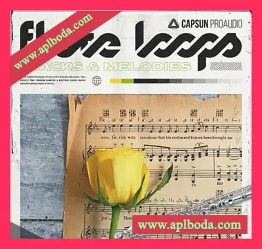 [嘻哈长笛旋律音色LOOP]Capsun ProAudio Flute Loops Stacks And Melodies [WAV]（373Mb）