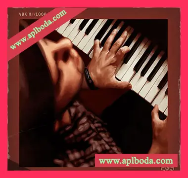 [福音乐采样]Pelham and Junior VBK Loop Pack Vol.3 [WAV]（317Mb）