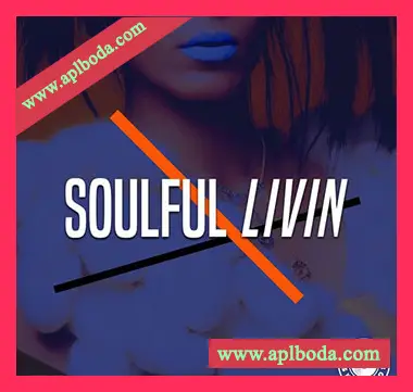 [灵魂RnB采样]Loops 4 Producers Soulful Livin [WAV]（29Mb）