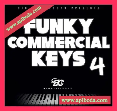 [放克钢琴采样]Big Citi Loops Funky Commercial Keys 4 [WAV]（148Mb）