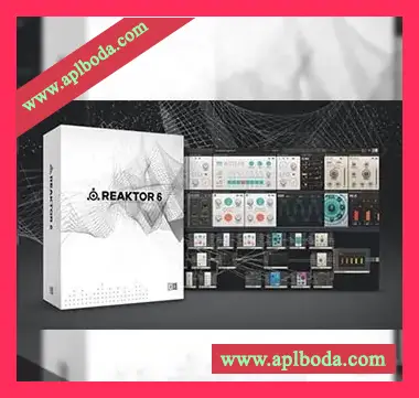 [模块化合成器]Native Instruments Reaktor 6 v6.3.1  v6.3.1 [WiN, MacOSX]（295Mb）