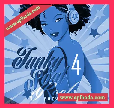 [灵魂放克RnB采样]Big Citi Loops Funky Soul Roots Returns Part 4 [WAV]（250Mb）