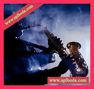 [Imaginando FRMS预置萨克斯管]Imaginando FRMS Sounds Of Saxophone（5Mb）