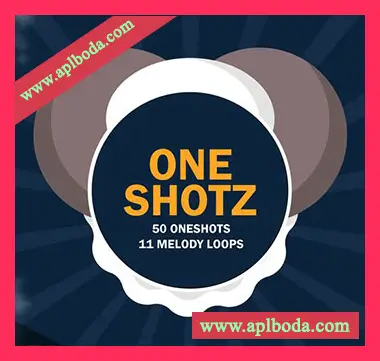 [浩室采样]Rich Samples Oneshotz [WAV]（16Mb）
