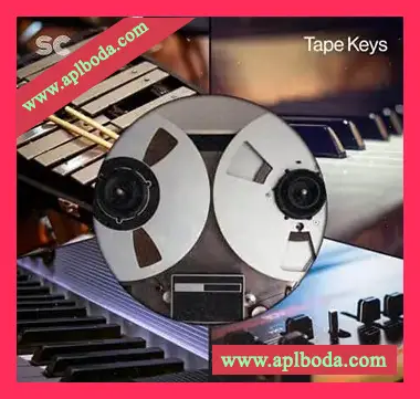 [嘻哈RnB采样]Sonic Collective Tape Keys [WAV]（696Mb）