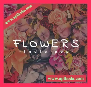 [POP流行乐采样]Samplestar Flowers Indie Pop [WAV, MiDi]（406.79Mb）