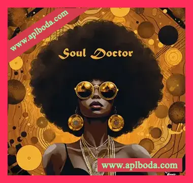 [灵魂嘻哈RnB采样]LEX Sounds Soul Doctor Vintage Soul [WAV]（526Mb）