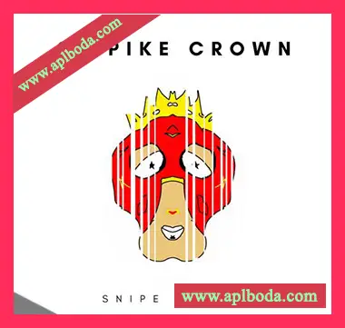 [嘻哈说唱采样]Snipe Young 8 Spike Crown [WAV]（11Mb）