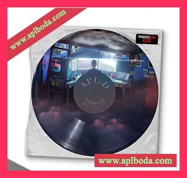 [氛围嘻哈福音乐采样]ProducerGrind APT. D Premium Melodies [WAV]（321Mb）