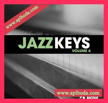 [爵士键盘采样]New Beard Media Jazz Keys Vol.4 [WAV]（30Mb）