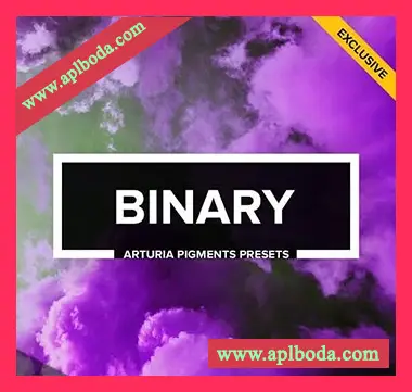 [House素材Piqments预设]Audiotent Binary [WAV, MiDi]（343Mb）