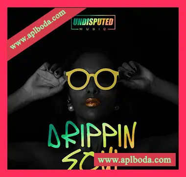 [灵魂RnB采样]Undisputed Music Drippin Soul [WAV]（14Mb）