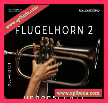 [Elastik音色爵士布鲁斯]Ueberschall Flugelhorn 2（870Mb）