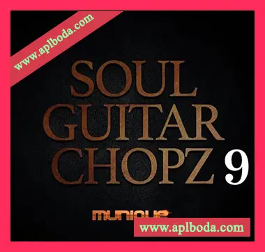 [灵魂RnB吉他采样]Innovative Samples Soul Guitar Chopz 9 [WAV]（28Mb）