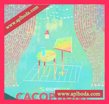 [丰富现场音乐厅管弦乐表演人群反应音效音源]Soundiron Cacophony [KONTAKT]（11.04Gb）