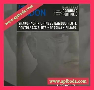 [民族长笛木管音源]Spitfire Audio Producer Portfolio Andy Findon Kit Bag [KONTAKT]（2.47Gb）