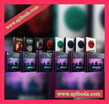 [回响重拍素材]Cymatics WHALES Artist Pack [WAV, MiDi]（448Mb）