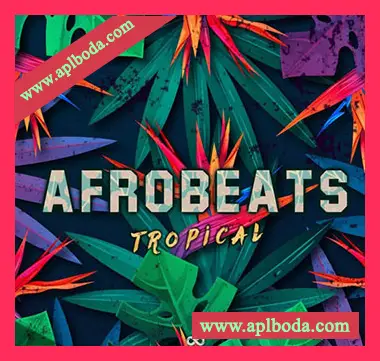[Tropical热带休闲舞曲素材]Godlike Loops Afrobeats Tropical [WAV, MiDi]（550Mb）