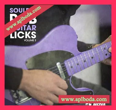 [嘻哈RnB吉他采样]New Beard Media Soulful RnB Guitar Licks Vol.2 [WAV]（77Mb）