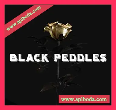 [嘻哈陷阱RnB采样]HOOKSHOW Black Peddles [WAV]（26Mb）
