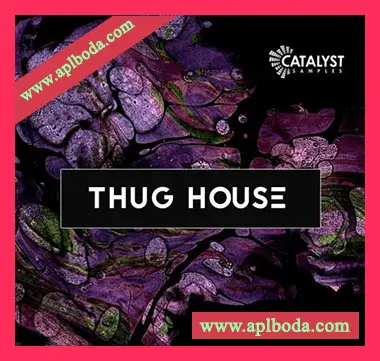 [浩室素材Sylenth1预置ANA预置]Catalyst Samples Thug House [WAV, MiDi]（75Mb）