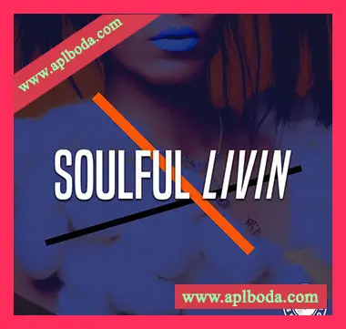 [灵魂RnB采样]Loops 4 Producers Soulful Lovin [WAV]（17Mb）
