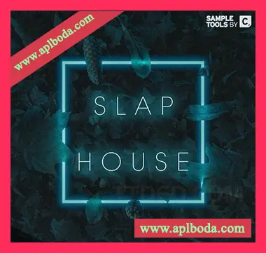 [浩室素材]Sample Tools by Cr2 Slap House [WAV, MiDi]（350Mb）