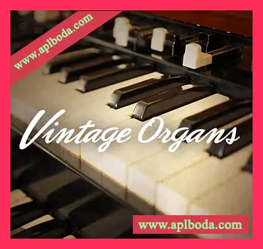 [老式风琴音源]Native Instruments Vintage Organs v1.5.2 [KONTAKT]（1.35Gb）