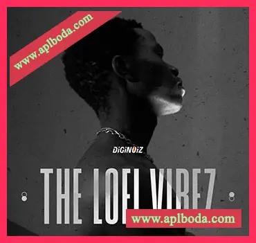 [低保真嘻哈陷阱RnB采样]Diginoiz The Lofi Vibez [WAV]（325.18Mb）