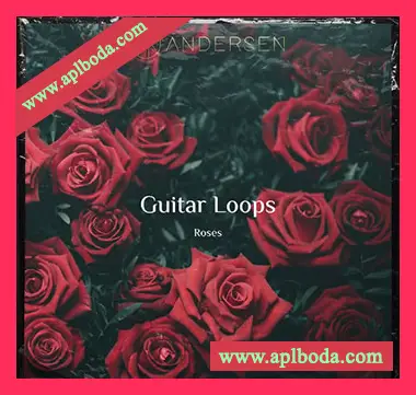 [嘻哈陷阱RnB吉他采样]BK Andersen Guitar Loops Roses [WAV]（211Mb）