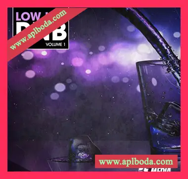 [RnB采样]New Beard Media Low Key RnB Vol 1 [WAV]（197Mb）