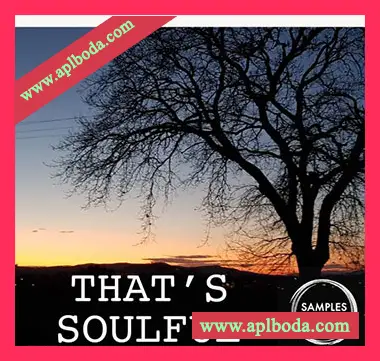 [嘻哈陷阱采样]Samples Choice That’s Soulful [WAV]（220Mb）