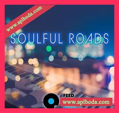 [灵魂爵士采样]Feed Your Soul Music Soulful Roads [WAV]（89Mb）