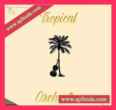 [热带休闲舞曲管弦乐素材]Out Of Your Shell Sounds Tropical Orchestra [WAV, MiDi]（139Mb）