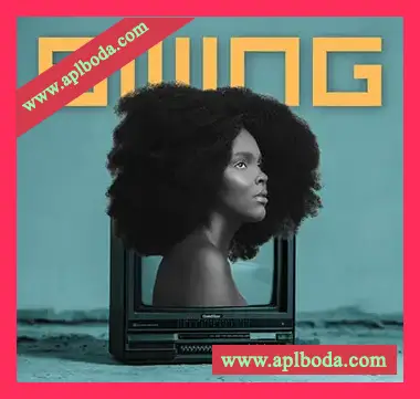[非洲节奏素材]Aotbb Swing Amapiano Hits [WAV, MiDi]（250Mb）
